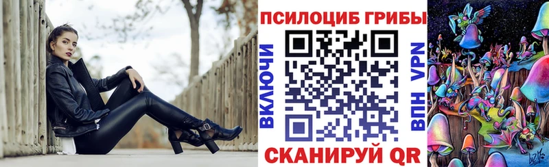 Галлюциногенные грибы Psilocybine cubensis  Купить  Лосино-Петровский 